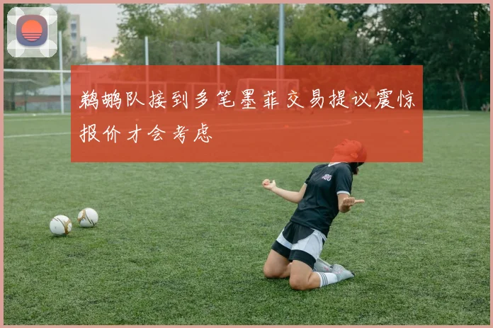 鹈鹕队接到多笔墨菲交易提议震惊报价才会考虑