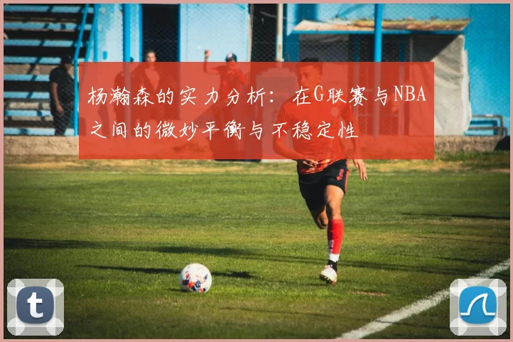 杨瀚森的实力分析：在G联赛与NBA之间的微妙平衡与不稳定性