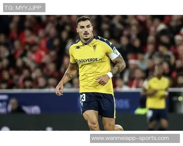 德转消息：本科维奇正式加盟深圳新鹏城转会费定为80万欧元